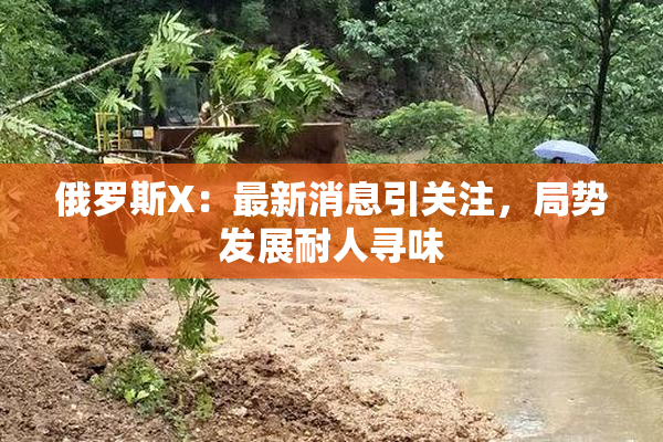 俄罗斯X：最新消息引关注，局势发展耐人寻味