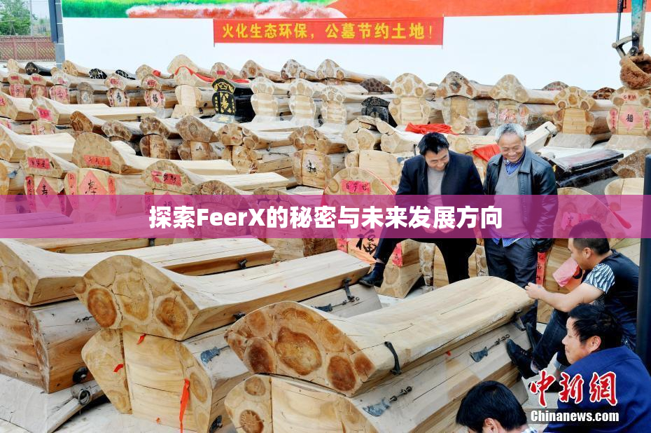探索FeerX的秘密与未来发展方向