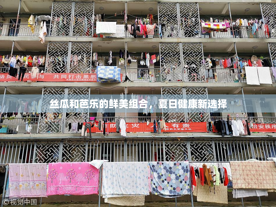 丝瓜和芭乐的鲜美组合，夏日健康新选择