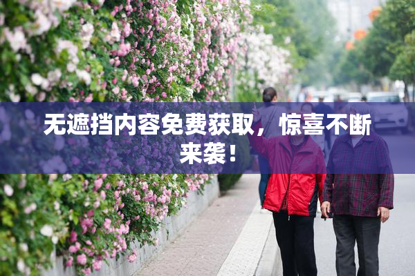 无遮挡内容免费获取，惊喜不断来袭！
