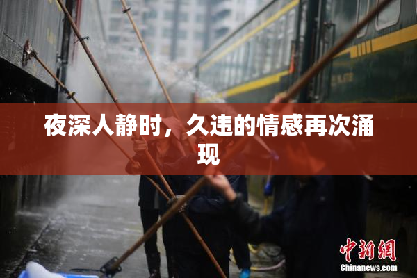 夜深人静时，久违的情感再次涌现