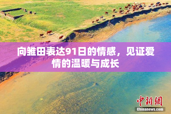 向雏田表达91日的情感，见证爱情的温暖与成长