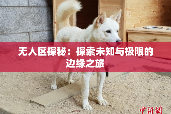 无人区探秘：探索未知与极限的边缘之旅