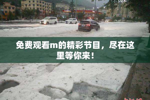 免费观看m的精彩节目，尽在这里等你来！