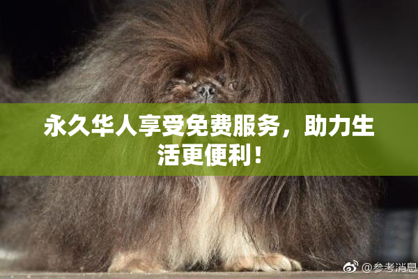 永久华人享受免费服务，助力生活更便利！