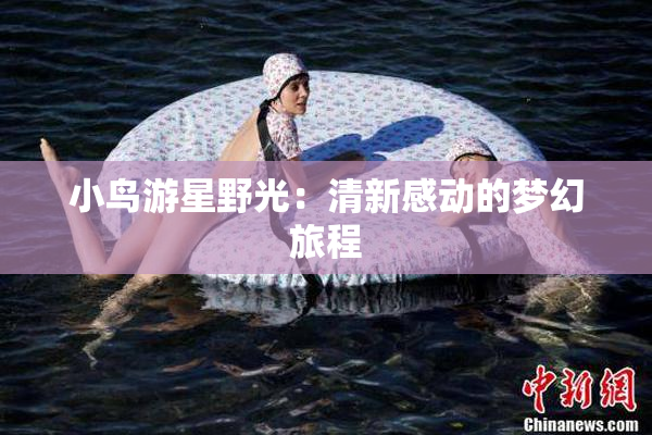 小鸟游星野光：清新感动的梦幻旅程