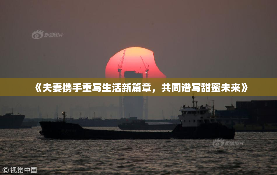 《夫妻携手重写生活新篇章，共同谱写甜蜜未来》
