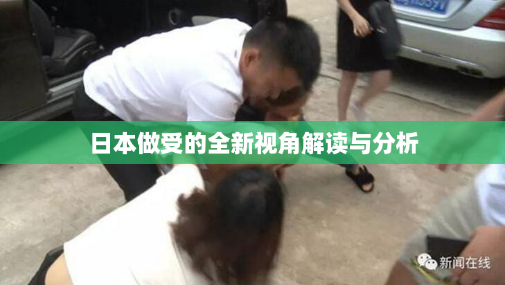 日本做受的全新视角解读与分析
