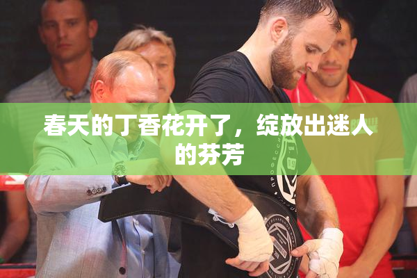 春天的丁香花开了，绽放出迷人的芬芳