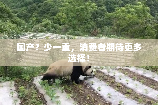 国产？少一重，消费者期待更多选择！