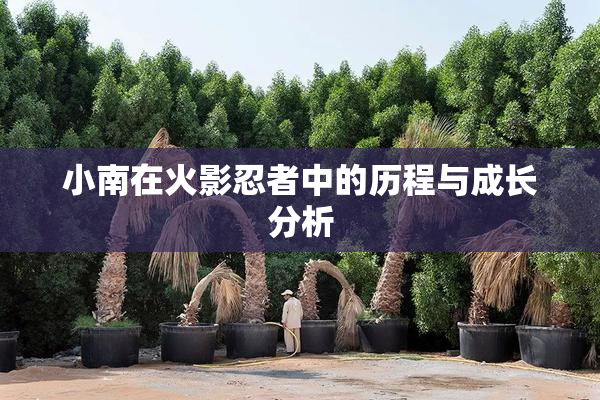小南在火影忍者中的历程与成长分析