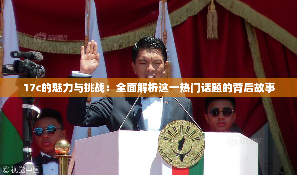 17c的魅力与挑战：全面解析这一热门话题的背后故事