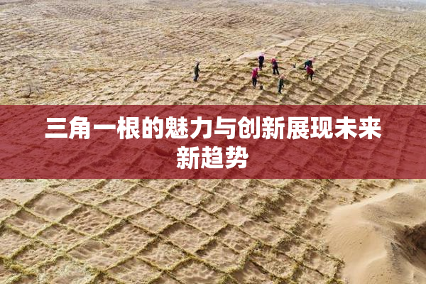 三角一根的魅力与创新展现未来新趋势
