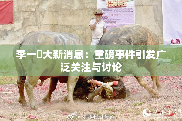 李一挏大新消息：重磅事件引发广泛关注与讨论