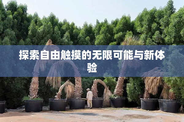 探索自由触摸的无限可能与新体验