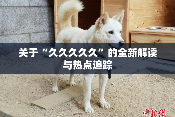 关于“久久久久久”的全新解读与热点追踪