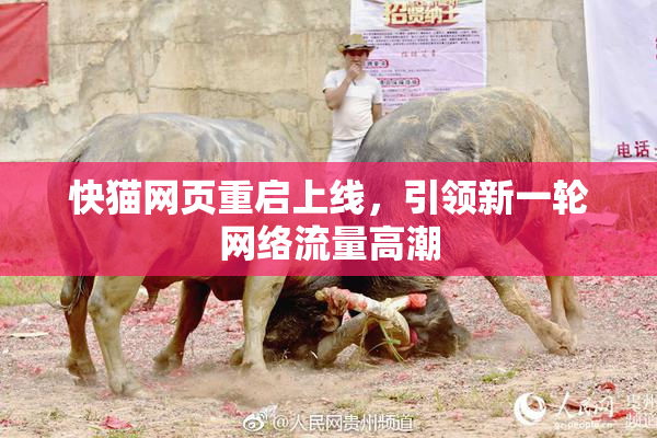 快猫网页重启上线，引领新一轮网络流量高潮