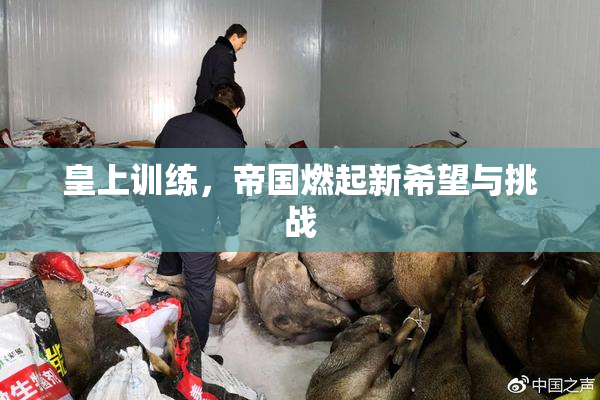 皇上训练，帝国燃起新希望与挑战