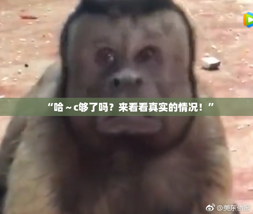 “哈～c够了吗？来看看真实的情况！”