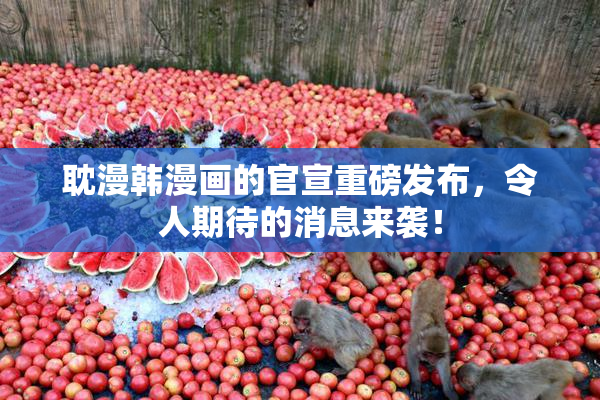 耽漫韩漫画的官宣重磅发布，令人期待的消息来袭！