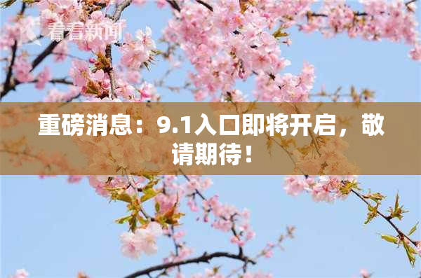 重磅消息：9.1入口即将开启，敬请期待！