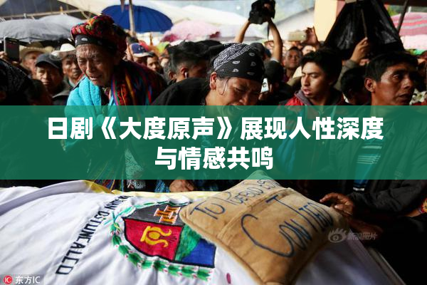 日剧《大度原声》展现人性深度与情感共鸣