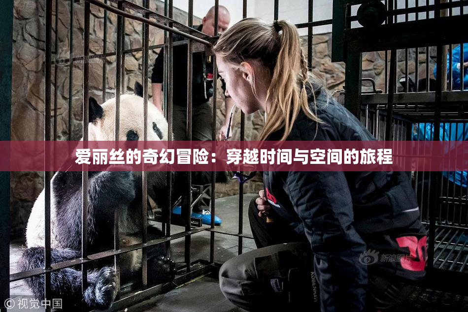 爱丽丝的奇幻冒险：穿越时间与空间的旅程