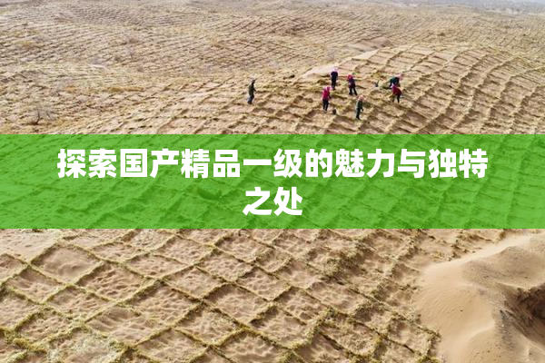 探索国产精品一级的魅力与独特之处