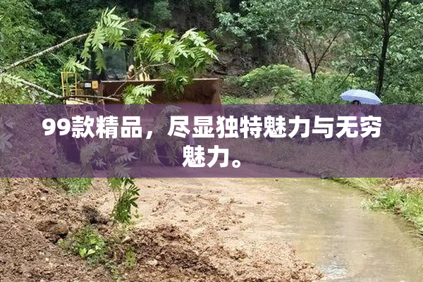 99款精品，尽显独特魅力与无穷魅力。