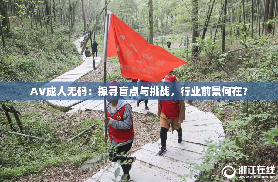 AV成人无码：探寻盲点与挑战，行业前景何在？