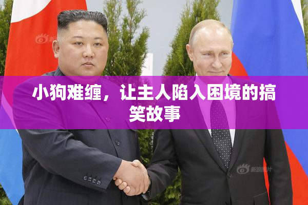 小狗难缠，让主人陷入困境的搞笑故事