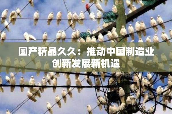 国产精品久久：推动中国制造业创新发展新机遇