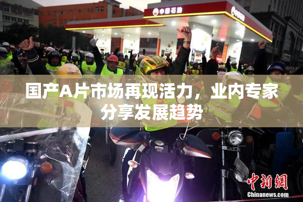 国产A片市场再现活力，业内专家分享发展趋势