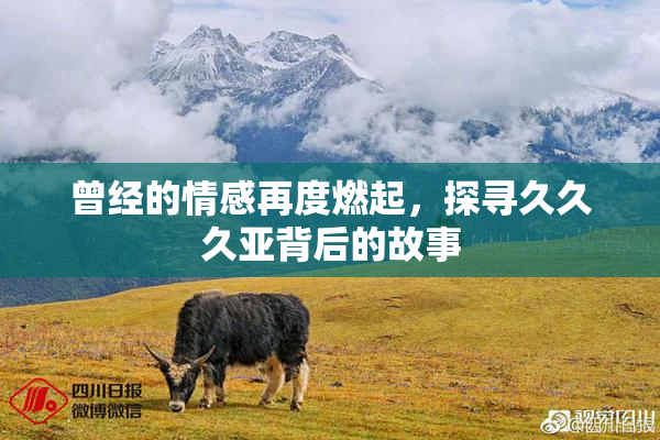 曾经的情感再度燃起，探寻久久久亚背后的故事