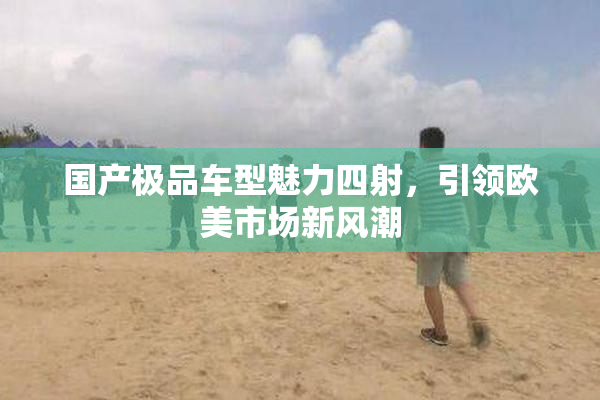 国产极品车型魅力四射，引领欧美市场新风潮