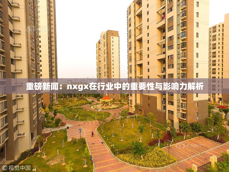 重磅新闻：nxgx在行业中的重要性与影响力解析
