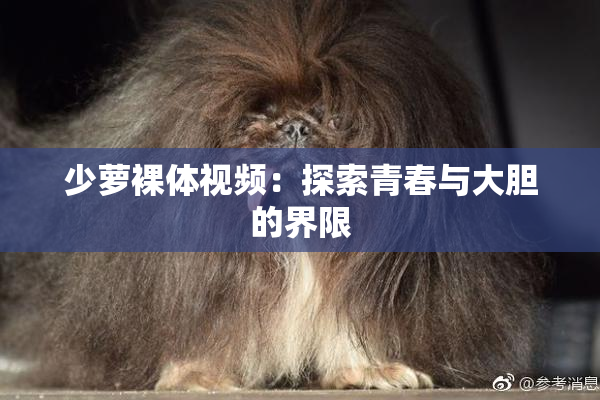 少萝裸体视频：探索青春与大胆的界限