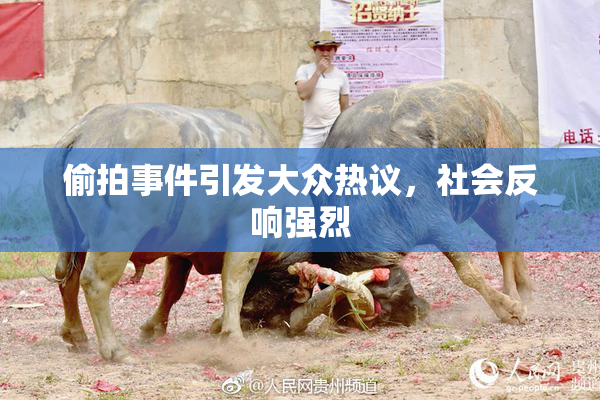偷拍事件引发大众热议，社会反响强烈