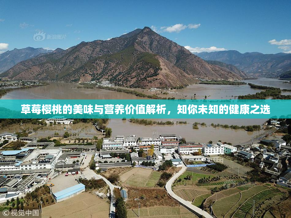 草莓樱桃的美味与营养价值解析，知你未知的健康之选