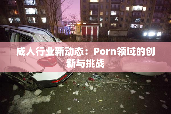 成人行业新动态：Porn领域的创新与挑战