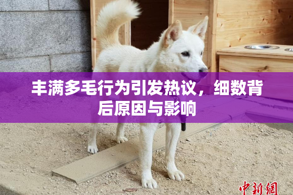 丰满多毛行为引发热议，细数背后原因与影响
