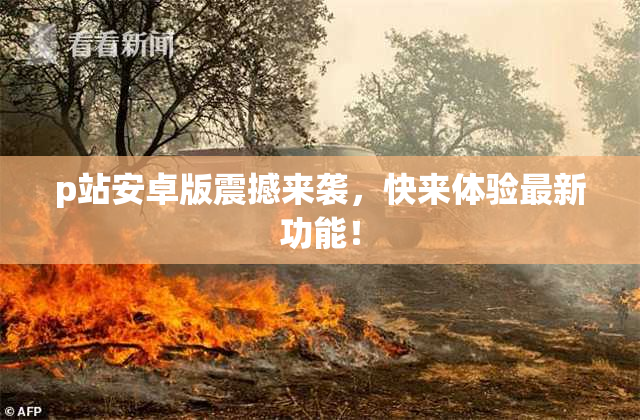 p站安卓版震撼来袭，快来体验最新功能！
