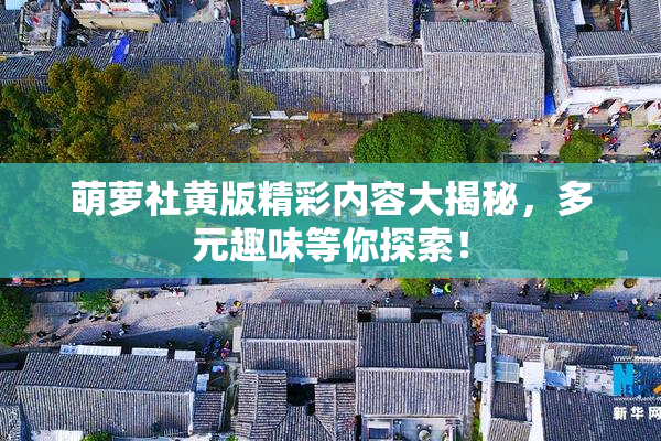 萌萝社黄版精彩内容大揭秘，多元趣味等你探索！