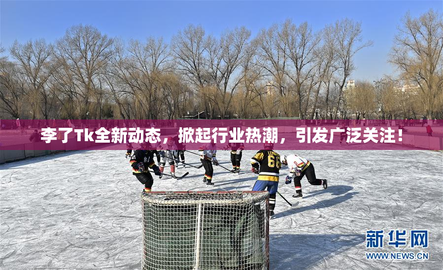 李了Tk全新动态，掀起行业热潮，引发广泛关注！