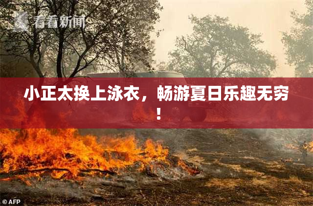 小正太换上泳衣，畅游夏日乐趣无穷！