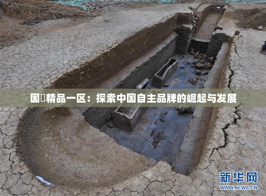 国產精品一区：探索中国自主品牌的崛起与发展