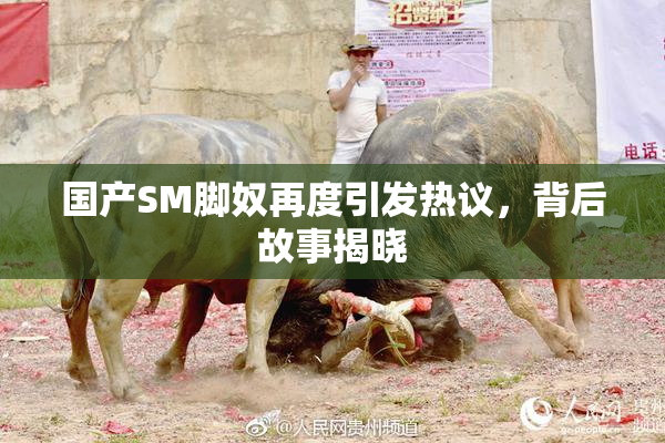 国产SM脚奴再度引发热议，背后故事揭晓