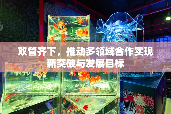 双管齐下，推动多领域合作实现新突破与发展目标
