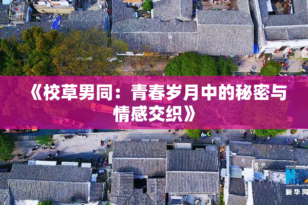 《校草男同：青春岁月中的秘密与情感交织》