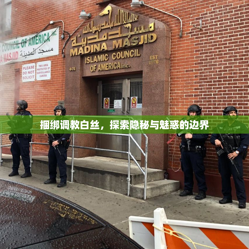 捆绑调教白丝，探索隐秘与魅惑的边界